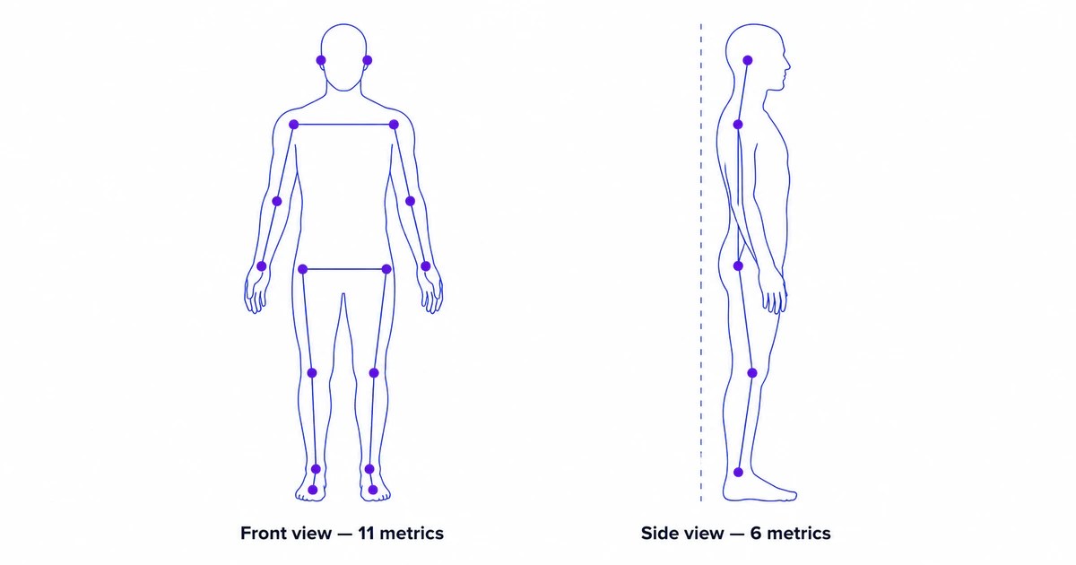 Posture Visual The 17 Posture Metrics, Explained: A Visual Glossary