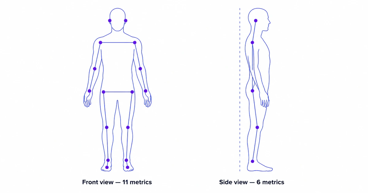 The 17 Posture Metrics, Explained: A Visual Glossary